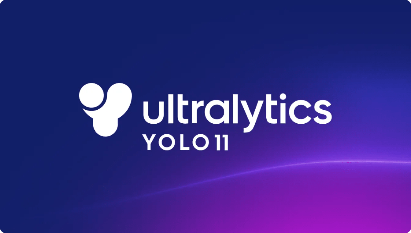 YOLO 11